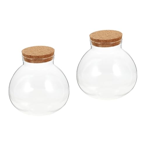 Yardwe 2st Glasgefäß Aus Kork Andenken-blumenglas Aus Glas Terrarienglas Kanister Zur Aufbewahrung Von Lebensmitteln Flasche Mit Korkverschluss Snacks Glas Haushaltsprodukte Glasflasche von Yardwe