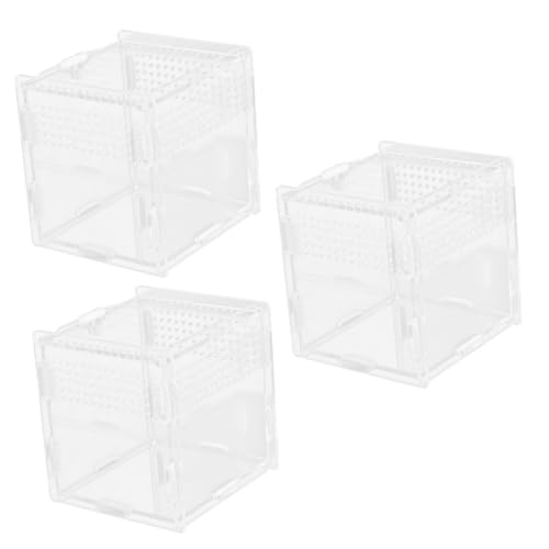 Yardwe 3st Kleine Zuchtboxen Eidechsenbecken Klares Reptilienterrarium Lebensraumbecken Für Eidechsen Spinnengehege Klare Züchterfälle Landschaftsspinnenhauscontainer Acryl Transparent von Yardwe