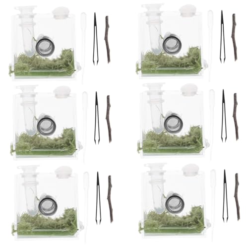 Yardwe Spinnen Terrarium Set 4 Sets Springspinnen Zuchtkasten Ameisen Terrarium Reptilientank Stacheliger Stockinsektenkäfig Buckelspinne Gehege Vogelspinne Gehege Insekten Terrarium Spinne Terrarium von Yardwe