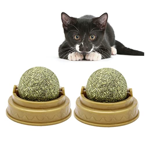 Yardwe 4 Stück Katze leckt Ball Spielzeug katzensnacks süßigkeiten Katze behandelt Minzkugel Katze nipp Süßigkeiten-Snacks Katzenbissball Katzenminze drinnen Süssigkeit Beschleuniger von Yardwe