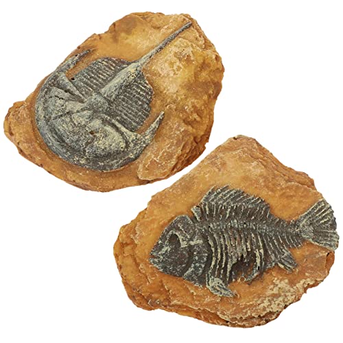 Yardwe 4 Stück simuliertes Harzfossil Reptile Decor Snake Box Ornaments kreative Terrariendekorationen Reptilien-Terrarium-Dekoration Eidechsen kriechende Landschaft Simulationslandschaft von Yardwe