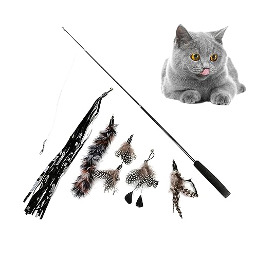 Yardwe 6stücke Teiliges Katzenangel Mit Bunten Ködern Kreatives Interaktives Spielzeug Für Katzen Und Kätzchen Für Wohnungskatzen Aktivität Und Spieltrieb Yardwe 6stücke Teiliges Katzenangel Mit Bunten Ködern Kreatives Interaktives Spielzeug Für Katzen Und Kätzchen Für Wohnungskatzen Aktivität Und Spieltrieb von Yardwe