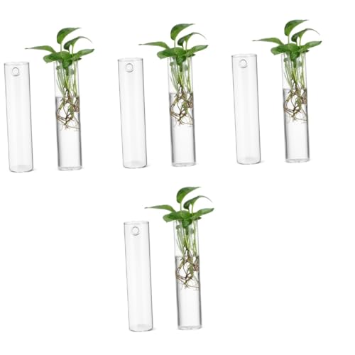 Yardwe 8 STK Wandvase Wandausbreitung Pflanzgefäß zum Aufhängen an der Wand Wandterrarium Wandpflanzer Wandmontage Kunstpflanzen drinnen einmachgläser klare Vasen hängendes Terrarium Glas von Yardwe