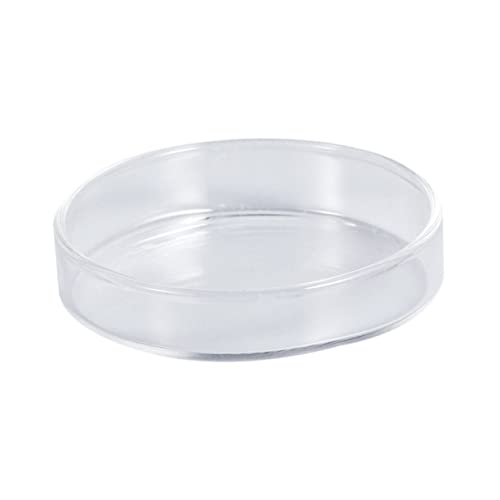 Yardwe Glas Garnelen Fütterung Schüssel Dekorative Aquarium Zubehör Runde Garnelen Lebensmittel Gerichte Pet Feeder Bowl von Yardwe