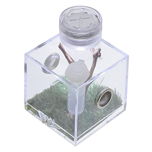 Yardwe Kasten Springspinnen-Zuchtbox Zubehör für springende Spinnen Spinnenpanzer Lampe Spinnengehege Spiders Lebensraumversorgung Transparentes Spinnenterrarium Acryl Yardwe Kasten Springspinnen-Zuchtbox Zubehör für springende Spinnen Spinnenpanzer Lampe Spinnengehege Spiders Lebensraumversorgung Transparentes Spinnenterrarium Acryl von Yardwe