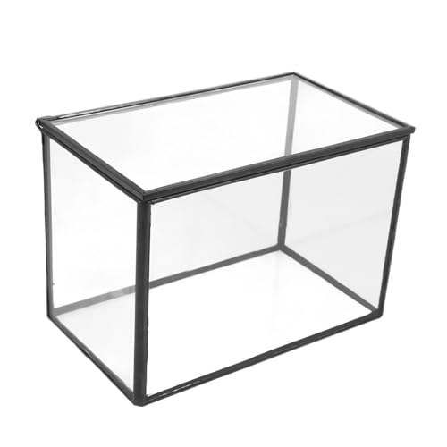 Yardwe Glas Landschaft Display Anlage Terrarium Box Dekorative Moos Container von Yardwe