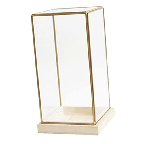 Yardwe Nordisches Design Antike Glasbox Mit Brass Dekoration Schmuckdisplay Und Sammlerstück Für Schreibtisch Vintage Glasbehälter Craft Display Box Kleine Größe von Yardwe