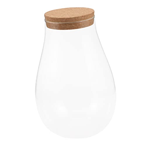 Yardwe Ökologische Mikrolandschaftsflasche Terrarienflasche Pflanzenkrug Terrarienglas Schreibtischaufsatz Kuppelglas Aus Glas Bryophyten-Cloche-Glas Mit Deckel Container-Tank Hölzern von Yardwe