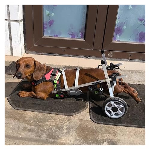 2 Räder Einstellbar Hund Walking Übung Räder Auto, Verletzte Hund Rollstuhl, Verletzte Behinderte Amputierte Hund Rollstuhl Für Rücken Beine, Hund Bein Unterstützung Brace/Mobility Cart(XS-Widen) von Yately