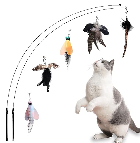 Yauende Katzenfeder-Spielzeug, interaktives Katzenspielzeug, 2 Stück flexibler Draht und 5 Stück Katzenfeder-Spielzeug, für gelangweilte Indoor-Katzen, Indoor-Katzen-Jagd-Spielzeug von Yauende