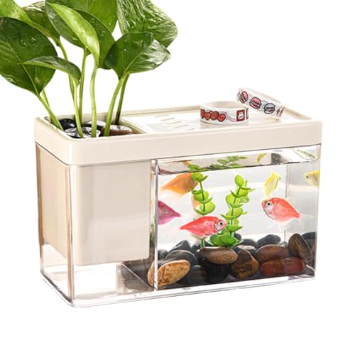 Kleines Aquarium, Schreibtisch Aquarium, Glas Aquarium, Betta Aquarium, Desktop-Aquarium, Tisch Aquarium Aquarium Komplettset, Betta Aquarium Für Schildkröten, Reptilien, Garnelen, Moos, Cremig von Yaztauho