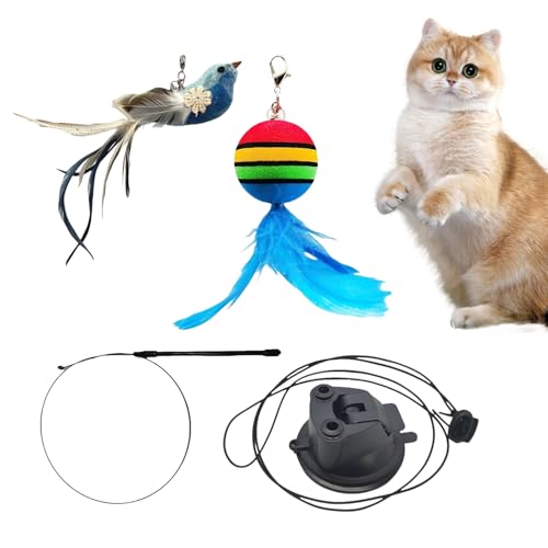 Yaztauho Indoor Cat Toys | Vogel Spielzeug Zur Katzenergänzung,Katzenzubehör Wandmontage Stimulation Gegen Langeweile Aktivität Indoor Yaztauho Indoor Cat Toys | Vogel Spielzeug Zur Katzenergänzung,Katzenzubehör Wandmontage Stimulation Gegen Langeweile Aktivität Indoor von Yaztauho
