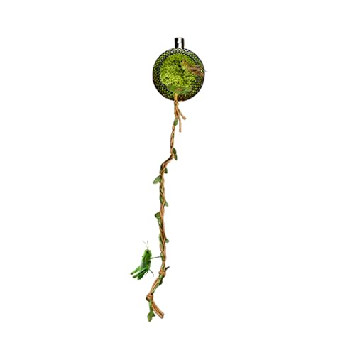 Yaztauho Springspinnen Terrarium | Moos-Springspinnen Terrarium Mit Magnethalterung - Terrariumdekoration Für Heimtiere Wie Grillen Geckos Hundertfüßer Reptilien Käfer Zur Beobachtung Und Haltung Yaztauho Springspinnen Terrarium | Moos-Springspinnen Terrarium Mit Magnethalterung - Terrariumdekoration Für Heimtiere Wie Grillen Geckos Hundertfüßer Reptilien Käfer Zur Beobachtung Und Haltung von Yaztauho