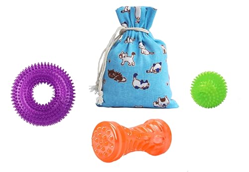 Ycozy Quietschspielzeug für kleine/mittelgroße Hunde, aggressives Kauen, TPR-Gummi, Kauspielzeug, Welpen, Zahnspielzeug, widerstandsfähige Aufbewahrungstasche, 3 Stück von Ycozy