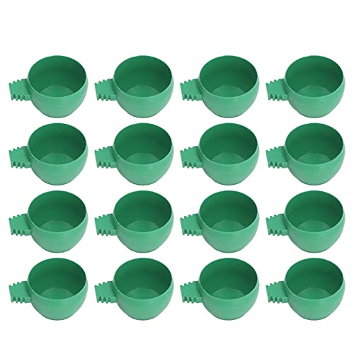 25 Stück Mini-Vogelpapageien Futter-Wassernapf-Inlay-Installation Runde Grüne Papageien Kleine Futter-Wasserschale für Bauernhöfe Zuhause S Grünes Aussehen von Yctze
