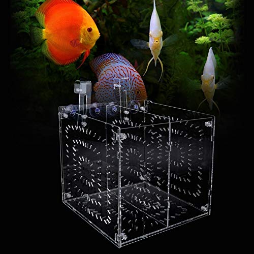 Aquarium-Isolationsbox für Fischsetzlinge, Inkubations- und Reproduktionsbox (20MC * 20CM * 20CM) von Yctze