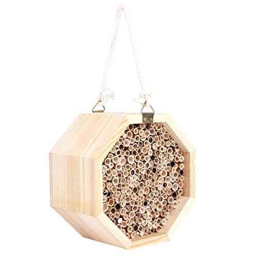 Hotel Mason Bee House Kit 16×16×9 Holz Bienenhaus Holz Bug Zimmer Hotel Nistkasten für Outdoor Garten Dekoration von Yctze