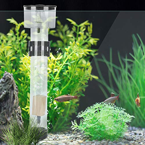 Yctze Eiweißabschäumer-Separator für Aquarien, Acryl-Aquariumzubehör mit IQ5-Filter, Ideal für die Fischzucht von Yctze