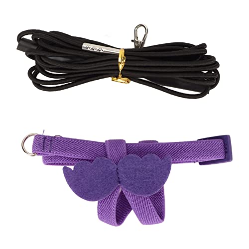 Yctze Harn-Seil, Ultraleichtes Traktionsseil, Vogel-Release-Seil M PleBird Harn und LeineBird Harn und Le Er Light Bite Harn Traktionsseil mit Flügelgriff M Ple (Purple) von Yctze