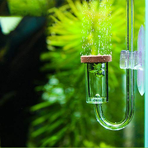 Yctze Transparenter CO2-Diffusor aus Acryl mit Blasenzähler, Idealer Zerstäuber für Aquarienpflanzen und Wassergras, Kommt mit Luftleitungen Zum Füttern von Pflanzen – von Yctze