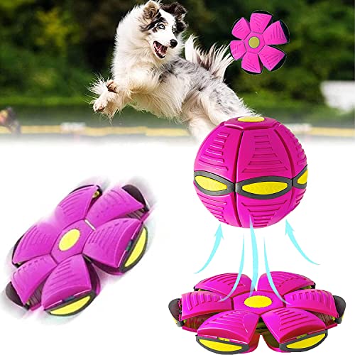 YeahBoom Haustier Spielzeug Frisbee Ball,Fliegend Untertasse Ball Spielzeug für Hunde,Fliegender Ball für Hunde,Pet Toy Frisbee Ball Hund,Fliegender Ball, Premium Hundeball von YeahBoom