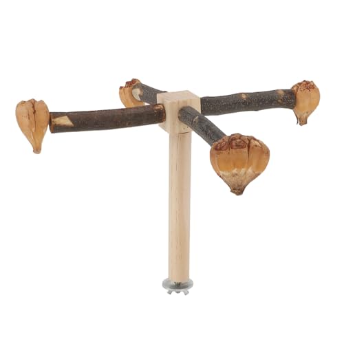 Holzpapagei -Barschspielzeug, Rotierender Vogelperchständer, Buchen- und Kiefernholz -Vogel -Trainingsplattform Swing Papagei Cage Accessoires für Vogelspielplatz für Mentale von Yechiry