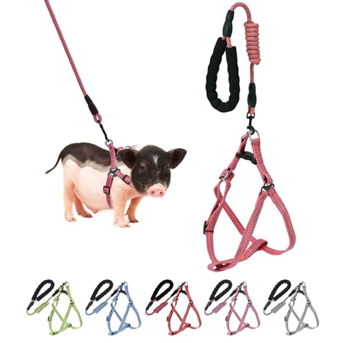 Mini Pig Hundegeschirr, verstellbares Geschirr für kleine Schweine, mit Leine, Unendlichkeitssymbol und weichem Schaumstoffgriff für kleine bis mittelgroße Haustiere, Schweine, Spazierengehen, von YeeBeny