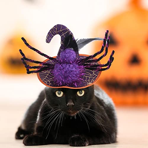 Yeeda Halloween Haustier Kostüm, Verstellbarer süßer Haustier Hexenhut, Spinne Halloween Haustier Hut, Katze Halloween Hut Halloween Haustier Kostüm Zubehör für Haustier Halloween Cosplay von Yeeda