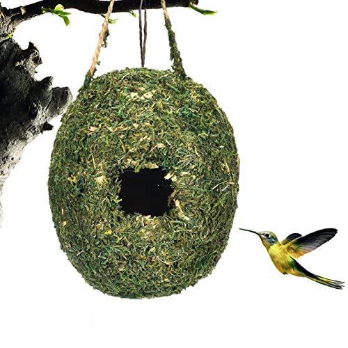 Yeeda Kolibri Gras Vogelhaus Außen, Handgewebte Kolibri Häuser für Außen, Vogel Nutrual Nest Ruheplatz für Finken Kanarienvögel Hinterhof Garten Dekoration von Yeeda