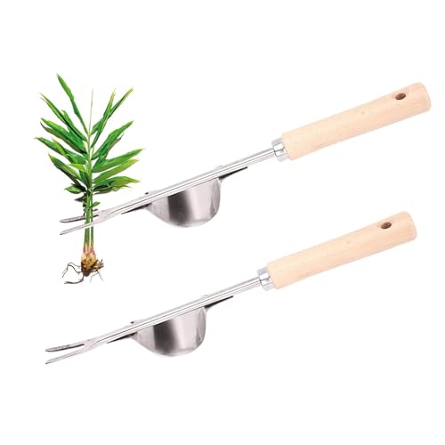 Yeehliny Unkrautstecher Weeder Edelstahl Wurzeljäter mit Holzgriff, Manueller Unkrautjäter Unkraut Entferner Gerät Löwenzahnstecher Hand Unkrautstecher für Garten Jäten, Umpflanzen, Entwurzeln (2PCS) von Yeehliny