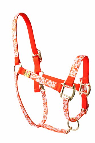 Red Haute Horse IFO1202S High Fashion Pferde-Halfter Island Floral Orange von Yellow Dog Design