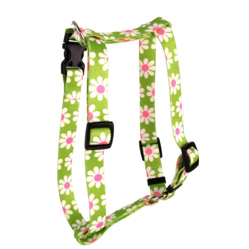 Yellow Dog Design Green Daisy Roman Style H Dog Harness, Large von Yellow Dog Design