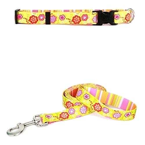 Yellow Dog Design Hundehalsband, 1,9 cm breit, für Halsumfang 20,3 cm bis 30,5 cm, Grün von Yellow Dog Design