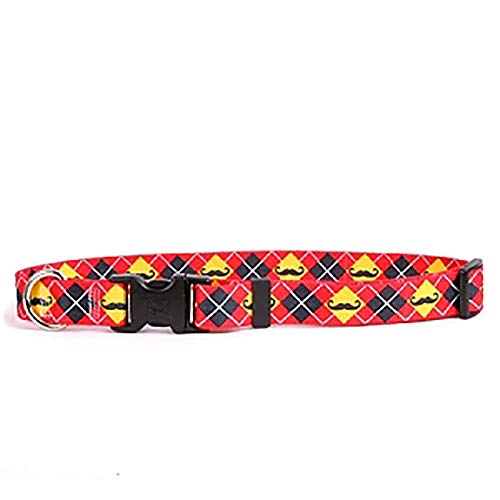 Yellow Dog Design Schnurrbärte mit Argyle-Hundehalsband, Teetasse, 1,9 cm breit, passend für Halsgrößen 10,2 bis 22,9 cm. von Yellow Dog Design