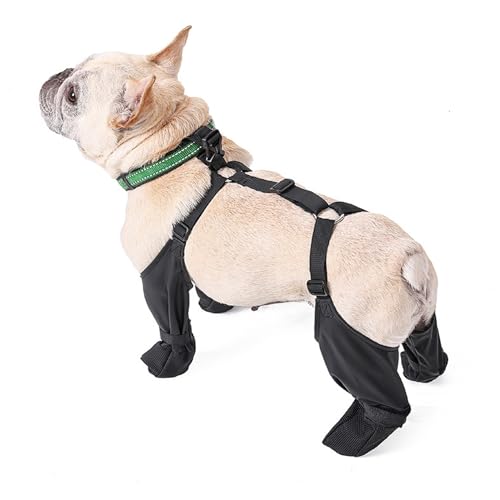 Hundeschuhe Wasserdicht Hundestiefel rutschfeste Pfotenschutz Antirutsch Outdoor Hundesocken Verstellbar Schutzstiefel mit Festen Riemen für kleine mittelgroße große Hunde (L) von Yelschwa