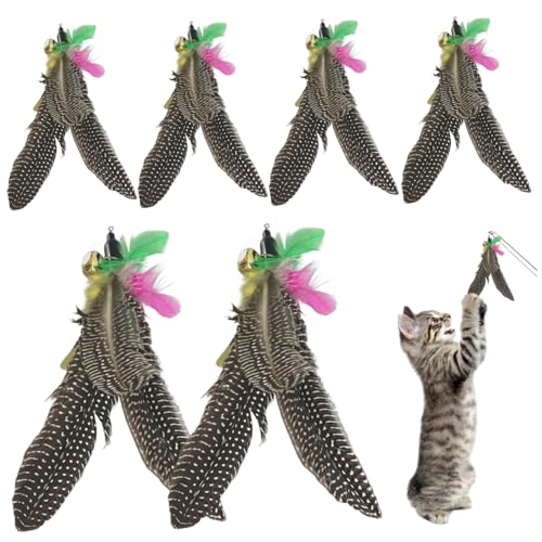 Yeory Katzenstab Spielzeug 6PCS Katzenstaber Ersatz Kopf Zauberstab Spielzeug Austausch mit Schleife Fun Cat Fishing Toy Ersatz Katzenspielzeugstab von Yeory