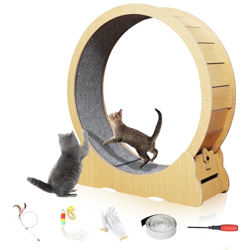 YepXearn Katzenrad, 110,5 cm XL Katzenlaufband, Katzen-Trainingsrad für Indoor-Katzen, Extra großes Katzenlaufrad für Katzen, Katzenlaufband Rad mit Teppichlaufbahn, Verriegelungsmechanismus von YepXearn