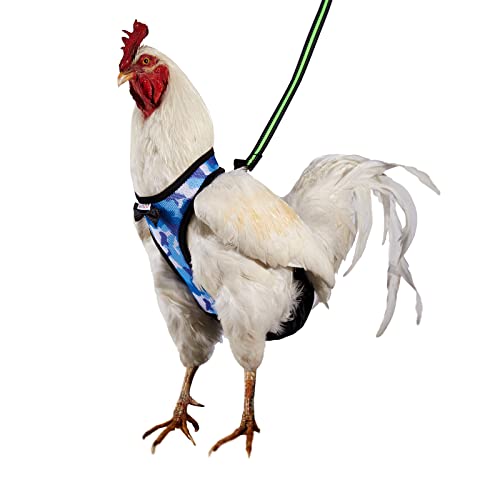 Yesito Hühnergeschirr Henne Größe mit 1.8 m passender Leine, bequem, atmungsaktiv und waschbar, erleichtert das Training und Spazierengehen von Hühnern (Camouflage Blau, große Größe) von Yesito