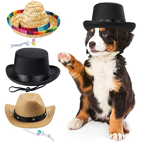 Yewong 3 Stück Haustierhut, formeller Zylinderhut, Mexiko, Sombrero-Hut, Cowboyhut, Hund, Katze, Haustierkostüm, Hut für Halloween, Party, Foto-Requisiten, Zubehör, Einheitsgröße von Yewong