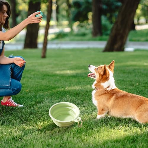 Katzenfutter- Und Wasserspender-Set | Katzenfutterspender 2,1 Kg | Automatischer Wasserspender 3,8 L | Katzen- Und Hundefutterspender Tierfutterschaufel | Schwammflaschenbürste von Yhsioaklo