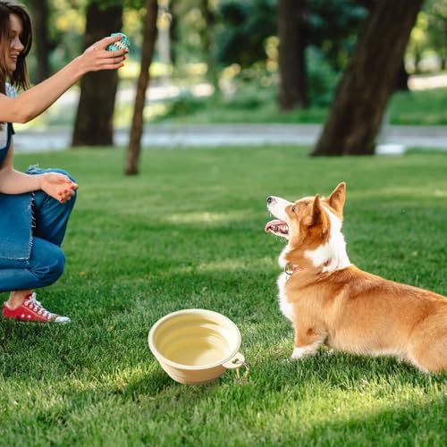 Katzenfutter- Und Wasserspender-Set | Katzenfutterspender 2,1 Kg | Automatischer Wasserspender 3,8 L | Katzen- Und Hundefutterspender Tierfutterschaufel | Schwammflaschenbürste von Yhsioaklo