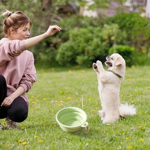 Katzenfutter- Und Wasserspender-Set | Katzenfutterspender 2,1 Kg | Automatischer Wasserspender 3,8 L | Katzen- Und Hundefutterspender Tierfutterschaufel | Schwammflaschenbürste von Yhsioaklo