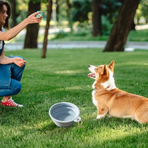 Katzenfutter- Und Wasserspender-Set | Katzenfutterspender 2,1 Kg | Automatischer Wasserspender 3,8 L | Katzen- Und Hundefutterspender Tierfutterschaufel | Schwammflaschenbürste von Yhsioaklo