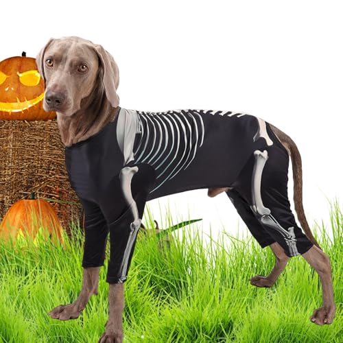 Yhsioaklo Halloween Kostüme Für Hunde - Skelett Hundekleidung - Haustier Halloween Bodysuit Für Feste Fotos Feiertage Cosplay Yhsioaklo Halloween Kostüme Für Hunde - Skelett Hundekleidung - Haustier Halloween Bodysuit Für Feste Fotos Feiertage Cosplay von Yhsioaklo