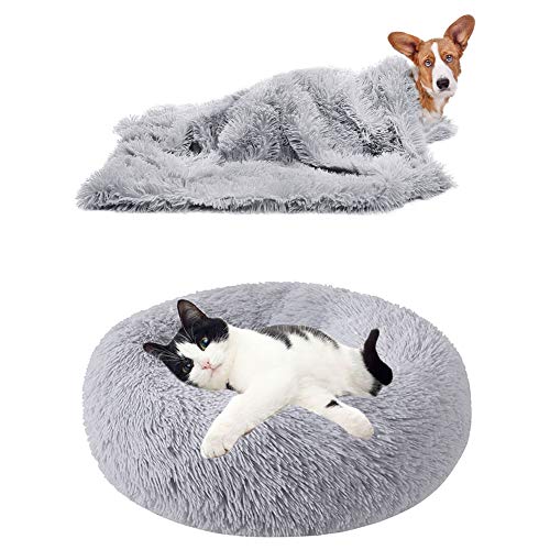 YiCTe Katzenbett Nettes Hundebett Waschbares Haustierbett Kissen Donut Hundebett Extra weich Bequem und geeignet für Katzen und kleine mittelgroße große Hunde (40 cm Durchmesser),Hellgrau von YiCTe