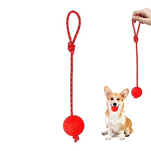 Yianyal Ball und Seil Hundespielzeug | Interaktive Gummibälle aus Gummi – Elastisches, solides Kauspielzeug für Training Fangen und Apportieren, Ball an einem Seil Hundespielzeug für kleine bis große von Yianyal