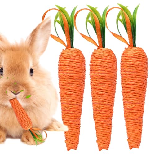 Yianyal Karottenspielzeug für Hunde, Karottenkauspielzeug für Kaninchen | 3-teiliges Häschen-Zahnspielzeug für Backenzähne | Hasenspielzeug, Hundespielzeug, Karotten-Kaninchen-Kauspielzeug, von Yianyal