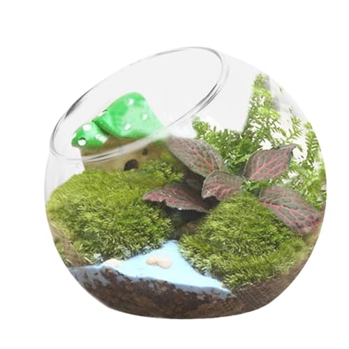 Yianyal Pflanzen-Terrarium – runder Glas-Terrarium-Behälter, Tischdekoration für Zuhause, Terrarium, Glas, Luftpflanzenhalter, Tank für Wohnzimmer, Esstisch, Schlafzimmer von Yianyal