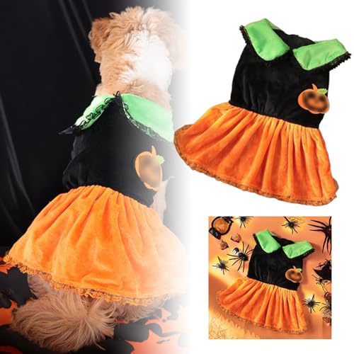 Haustier Kürbis Kostüm Welpe Halloween Kürbis Kostüm Rollenspiel Dress Up Kürbis Hut Geeignet für Halloween Weihnachtsfeier Party von Yiartion