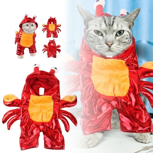 Yiartion Halloween Neue Krabbe Transformation Kostüm Hund Katze Lustiges Kostüm Nettes Tier Kostüm Haustier Kostüm Halloween Kostüm Haustier Kleidung von Yiartion